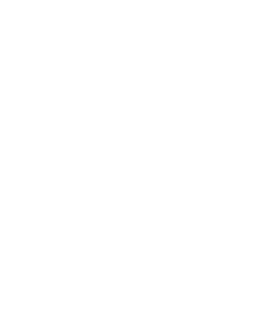 BureauVeritas_Logo