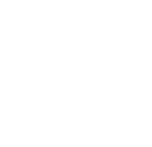 pi_NORM